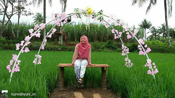 Wisata Argopuro Garden Spot Foto Terbaru di Kota Jember - jibriliatour