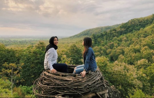 Travel Paket Wisata: Wow.... Indahnya Wana Wisata Alam SIMBAT Wuluhan Jember Jawa Timur.