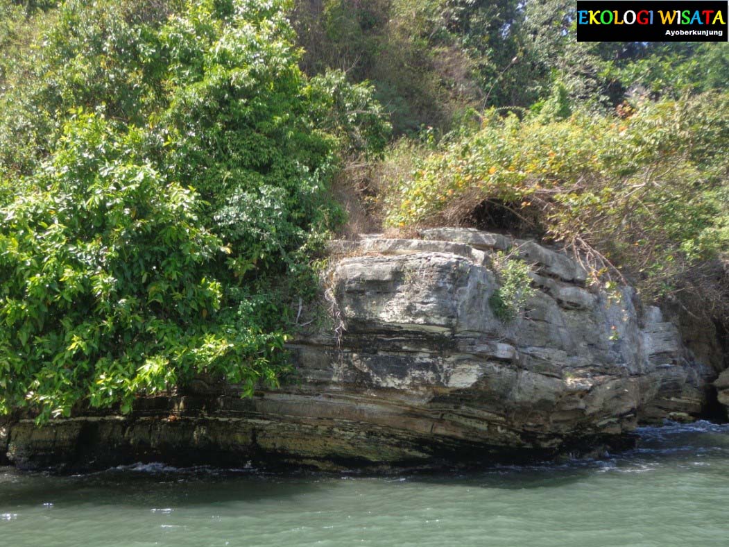 EKOLOGI WISATA: PANTAI KUCUR