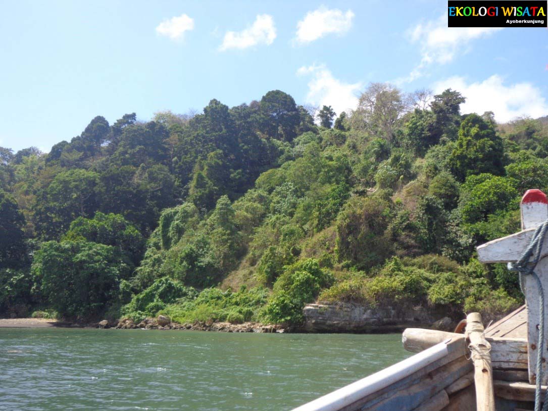 EKOLOGI WISATA: PANTAI KUCUR