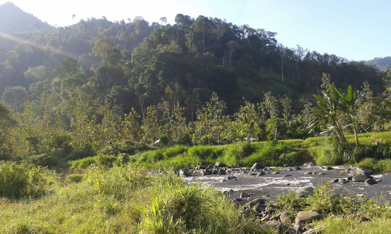 Berwisata ke Air Terjun Sarang Tawon dan Bendungan BDR Jember - Share Panduan