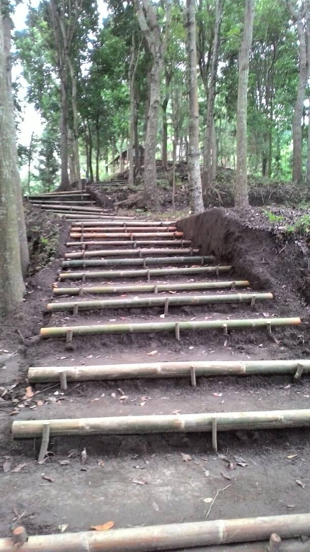 66e0fd17-6981-4317-bd76-0963cd4f52e0