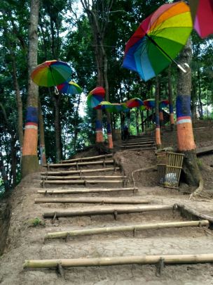 WhatsApp Image 2018-05-26 at 00.07.23