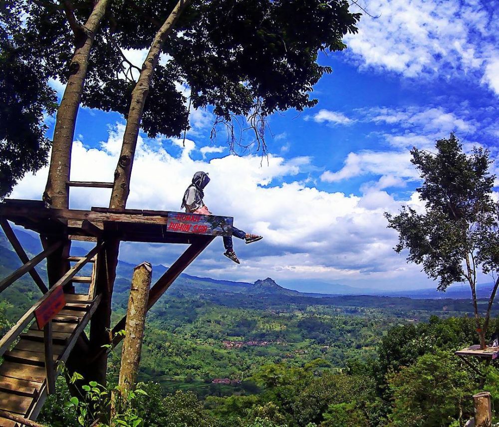 8 Potret Keindahan di Atas Bukit J88, Jember yang Menyihir Siapa pun
