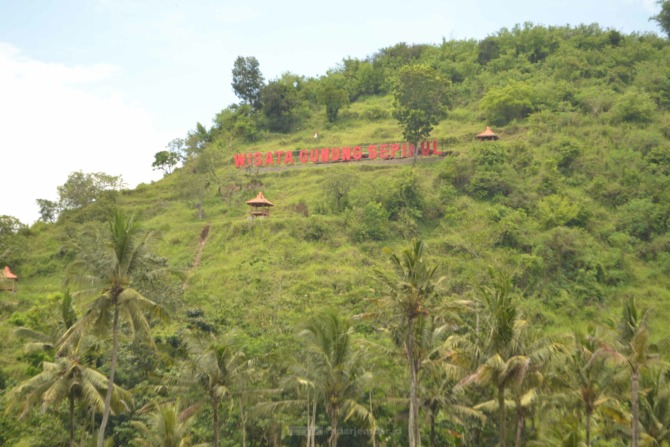 Menikmati Hamparan Sawah dari Ketinggian Gunung Sepikul |  radarjember.jawapos.com