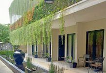 Kertanegara Homestay Jember