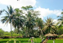 Wisata Argopuro Garden