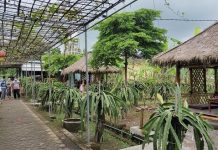 Agrowisata Gading Asri
